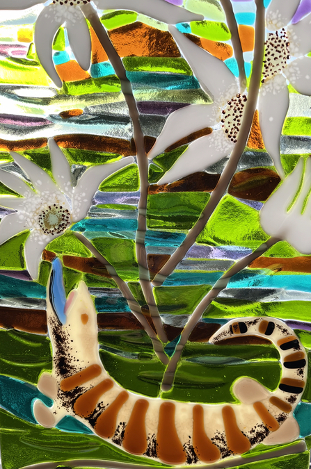 Flannel Flowers and Blue Tongue Lizard, close up