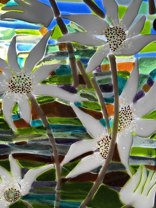 Flannel Flowers and Blue Tongue Lizard, close up